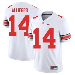 OSU Buckeyes White College Football Men Limited #14 Christian Alliegro Jersey 703407-731