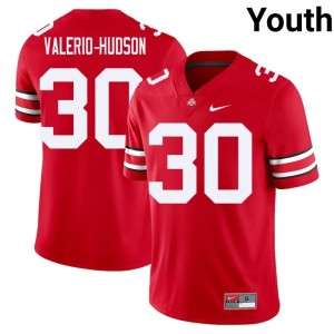 The Buckeyes #30 Youth Embroidery Scarlet College Football Amari Valerio-Hudson Jersey 419036-266