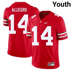 The Buckeyes #14 NCAA Scarlet Christian Alliegro Youth College Football Jerseys 190542-497