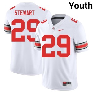 The Ohio State White Stitched #29 Youth Deshawn Stewart College Football Jerseys 670297-189